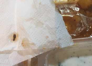 Sağlıkçıların yemeğinde böcek çıktı