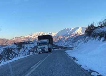 Garzan’da koruculardan ağaç katliamı