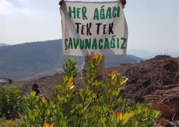 Alamos Gold’un Kazdağları’ndaki izni iptal edildi