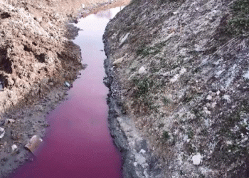 Kimyasallar derenin rengini değiştirdi