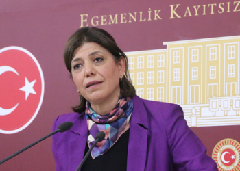 Beştaş: İnsan Hakları Eylem Planı Kürtleri kapsamıyor