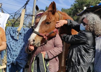 Burgazada’da hayvanseverlerden protesto