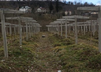 Karadeniz çiftçisi üretimi bırakıyor