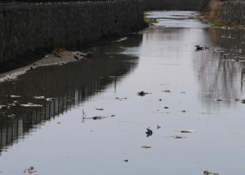 Van’da çevre felaketi