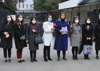 Diyarbakır Barosu: Kadın şiddetinin faili adli mercilerdir