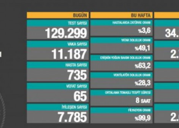 Koronadan toplam vefat sayısı 29 bini aştı
