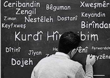 Kürtçe kampanyasına ilgi büyük