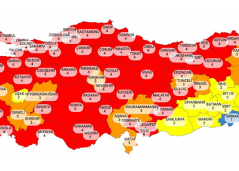 İllerin koronavirüs risk haritası paylaşıldı