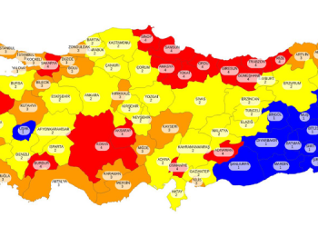 Bakan Koca: İllerimiz risk değerlendirme kriterlerine göre 4 kategoriye ayrıldı