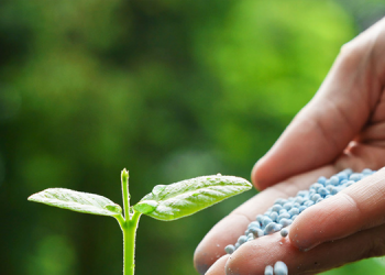 Tarımsal faaliyet 20 yıldır yokuş aşağı gidiyor