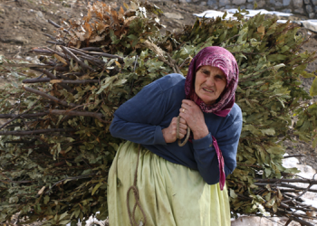 Yayla yasakları hayvancılığı bitiriyor