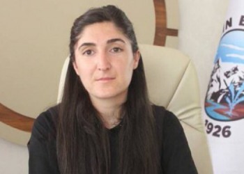 Yerine kayyım atanan Yaşar: İddianame bir senaryodur