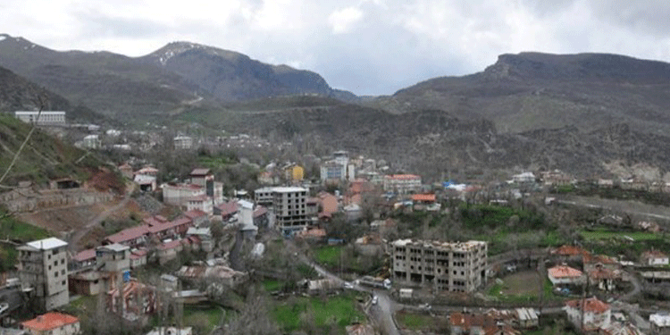 Hakkari’de operasyon: 5 gözaltı Hakkari’de operasyon: 5 gözaltı