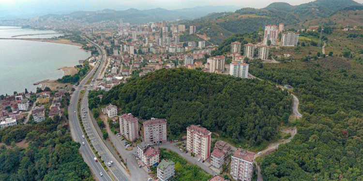 Fatsa’da ormanlık alanın yapılaşmaya açılmasına tepki Fatsa’da ormanlık alanın yapılaşmaya açılmasına tepki