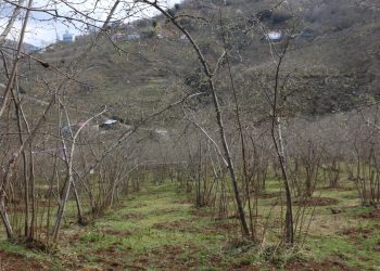 ‘Tarımsal üretim imkansız hale geldi’