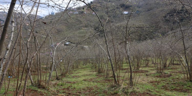 ‘Tarımsal üretim imkansız hale geldi’