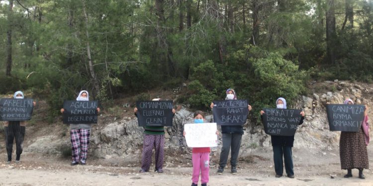 İkizköy halkı ağaç kıyımına karşı nöbette İkizköy halkı ağaç kıyımına karşı nöbette