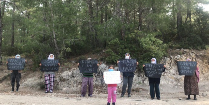 Nöbet eylemi ağaç kesimini durdurdu Nöbet eylemi ağaç kesimini durdurdu