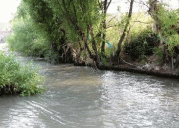 Şırnak’ta Nerdüş Deresi ve kömür ocakları gerginliği
