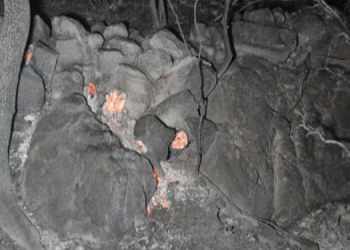 Muğla’da peş peşe orman yangınları