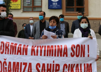 Şırnak’ta doğa katliamına ortak tepki: Mücadelemizi sürdüreceğiz