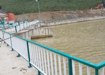 Giresun’da iş cinayeti