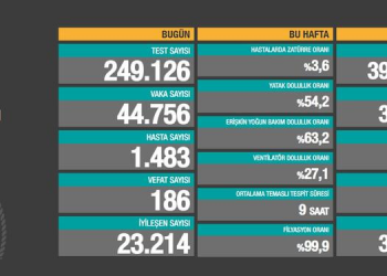 Koronada son 24 saat: 186 can kaybı, 44 bin vaka