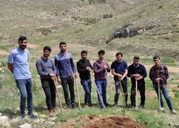 Maden tehdidine karşı ağaç diktiler