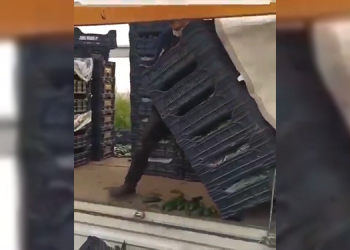 Antalya’da çiftçi isyan etti