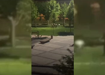 Polis ve bekçi şiddeti görüntülerde