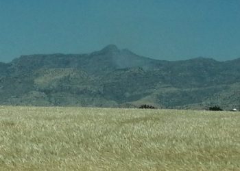 Cudi’deki orman yangını söndü