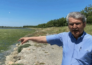 Prof. Yaşar: Denizi öldürüp, organlarını bağışlamayın