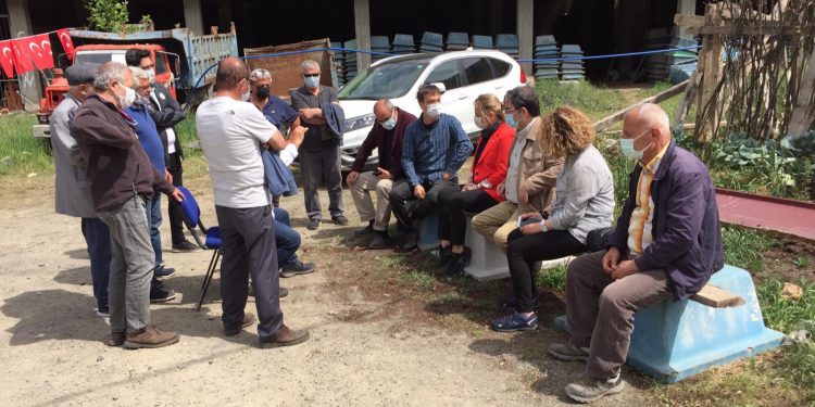 İkizdere’de sökülen ağaçlar dereye atıldı İkizdere’de sökülen ağaçlar dereye atıldı