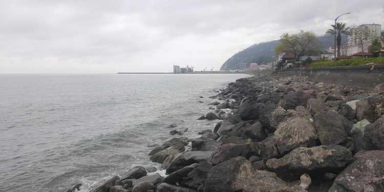 Hopalılar denize dolgu istemiyor