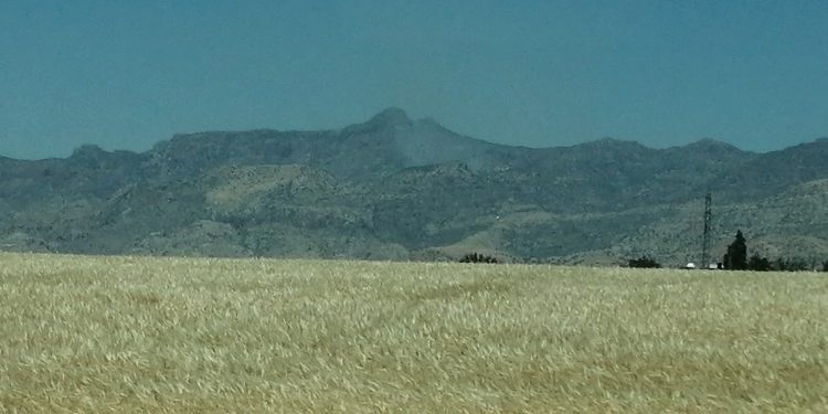 Cudi’de yangına müdahale edilmiyor