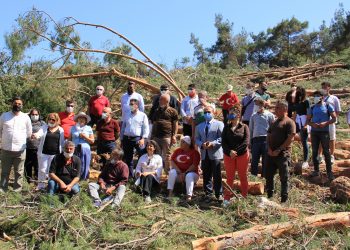 Çevrecilerden ağaç katliamına tepki: Ağaç kesen insan da keser
