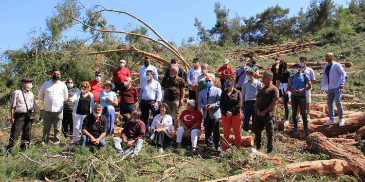 Çevrecilerden ağaç katliamına tepki: Ağaç kesen insan da keser Çevrecilerden ağaç katliamına tepki: Ağaç kesen insan da keser