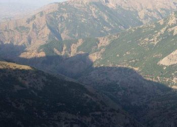 Kulp’ta operasyon sona erdi: Orman yangını başladı