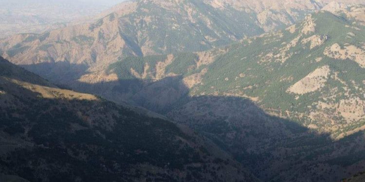 Kulp’ta operasyon sona erdi: Orman yangını başladı Kulp’ta operasyon sona erdi: Orman yangını başladı