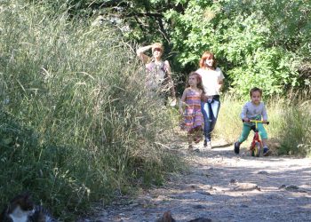 ‘Validebağ Korusu ranta kurban edilmemeli’