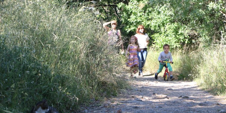 ‘Validebağ Korusu ranta kurban edilmemeli’