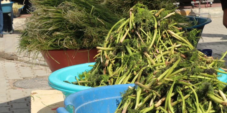 Kuraklık peynirin otunu da vurdu Kuraklık peynirin otunu da vurdu