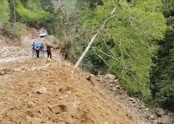 İşkencedere’de doğa katliamı sürüyor