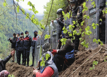 İDEF: Taş ocağı için en az 32 bin ağaç kesilecek
