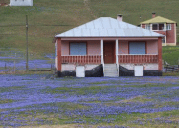 Kadıralak’ta belirsizlik sürüyor