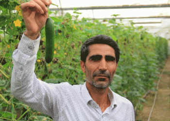 Maliyet artışı çiftçiyi zarara soktu