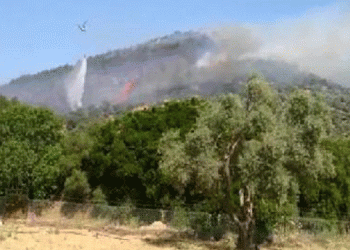 Ödemiş’te organ yangını
