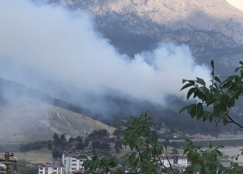 Pozantı’da orman yangını