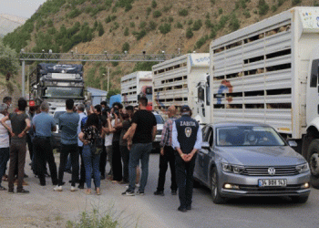 Dersimli hayvancılara yayla yasağı