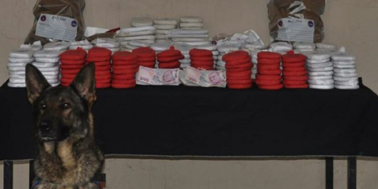 Van’da dört savcılı uyuşturucu çetesi Van’da dört savcılı uyuşturucu çetesi